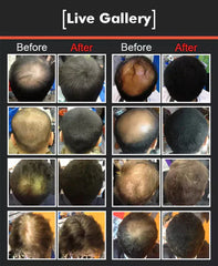 Dexe Hair Building Fibers (Imported)